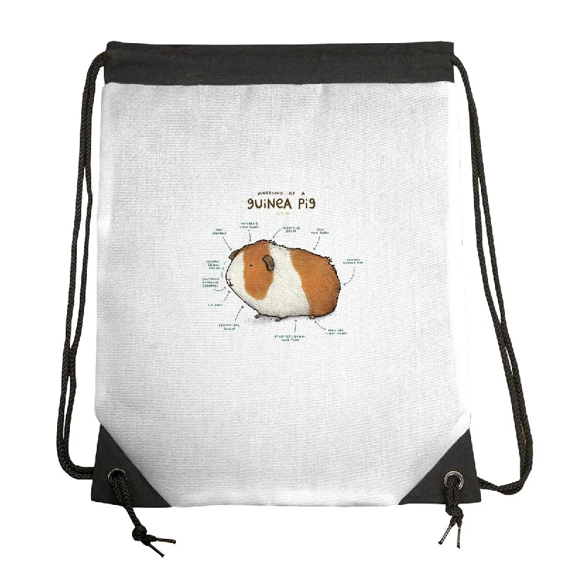 Clearance Bags For Budget Shoppers Anatomy of a Guinea Pig