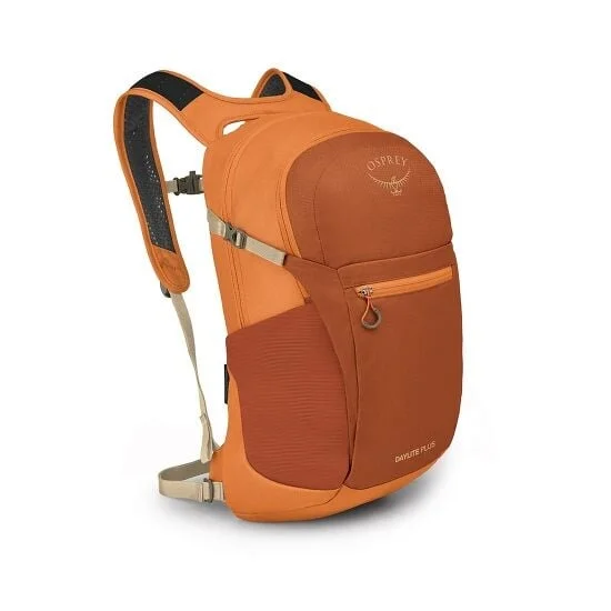 Stylish Bags For Fashion Influencers And Bloggers Daylite Plus Backpack
