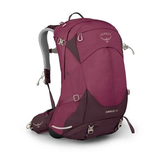 Luxury Bags On Sale Women's Sirrus 34 Backpack