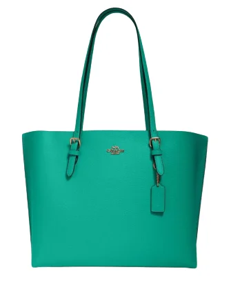 Functional Bags For Busy Moms And Dads Coach Mollie Tote